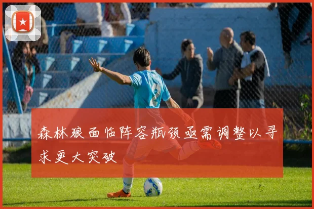 森林狼面临阵容瓶颈亟需调整以寻求更大突破